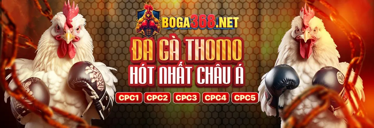Đá gà trực tuyến ab77 chính thức